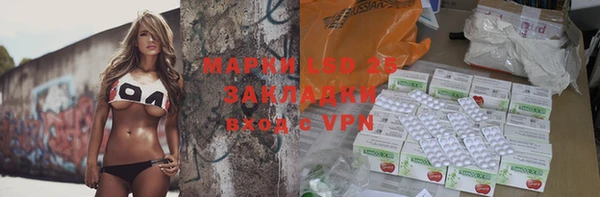 прущие грибы Верея