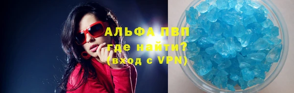 прущие грибы Верея