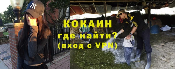 прущие грибы Верея
