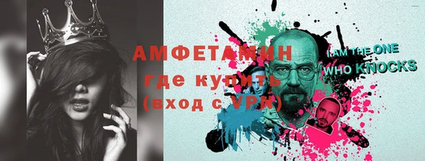 прущие грибы Верея