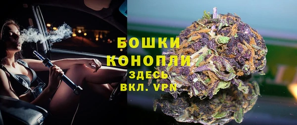 прущие грибы Верея