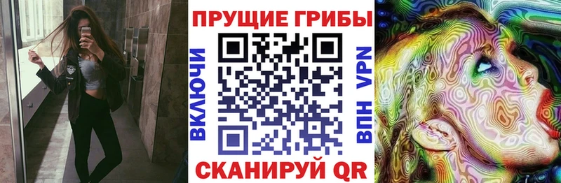 Псилоцибиновые грибы GOLDEN TEACHER  Ефремов 